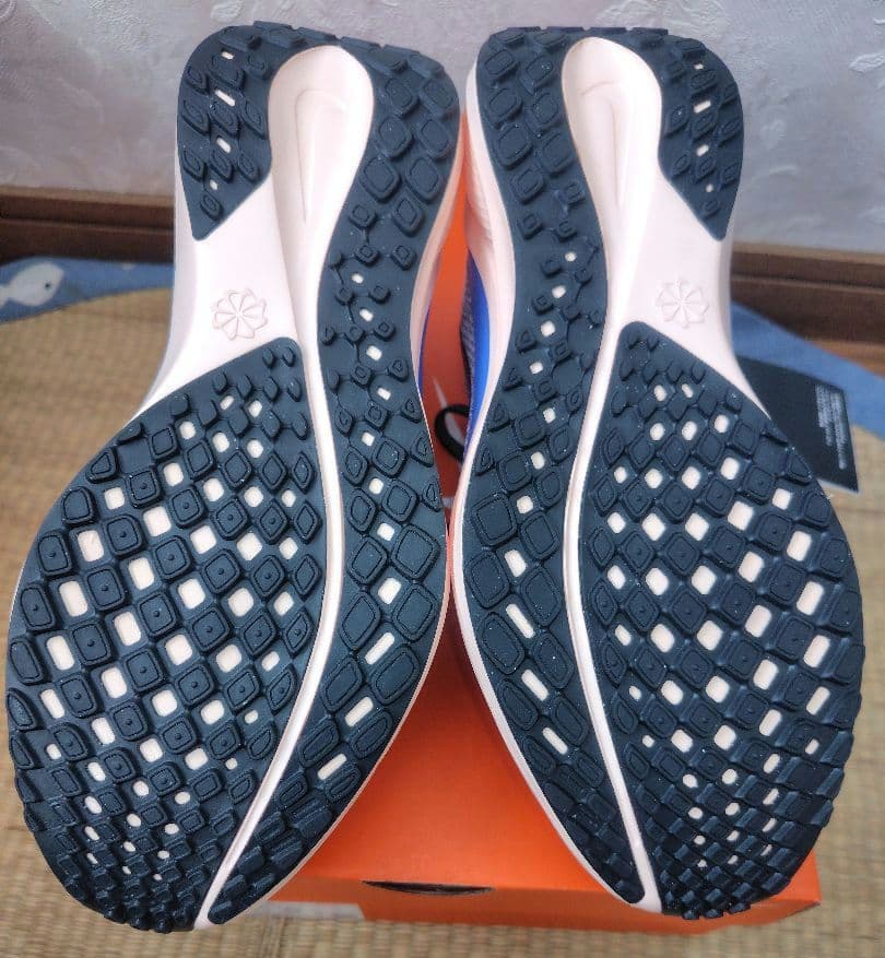 ペガサス 41 PEGASUS 41 26.5cm