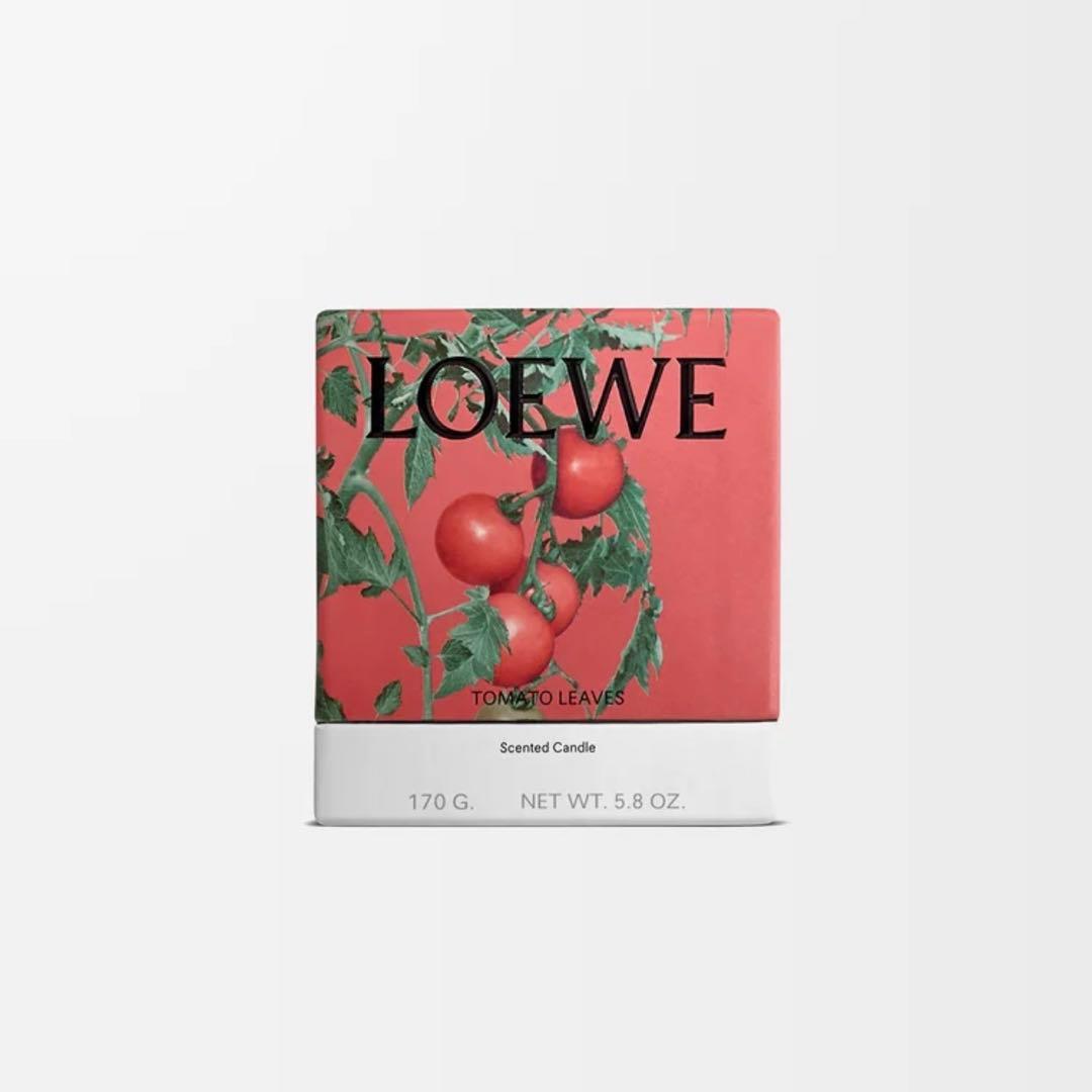 ロエベ トマトリーフ キャンドル スモール