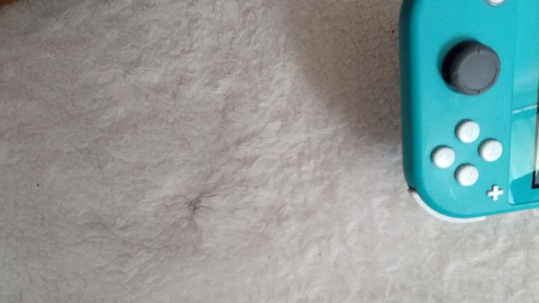 Nintendo Switch Lite ターコイズ 本体 動作品 極良品