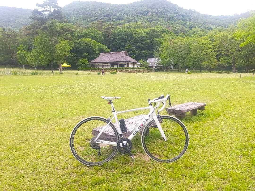 DE ROSAデローザNICK2020年式　アルテグラ　フルクラム　サイズ49