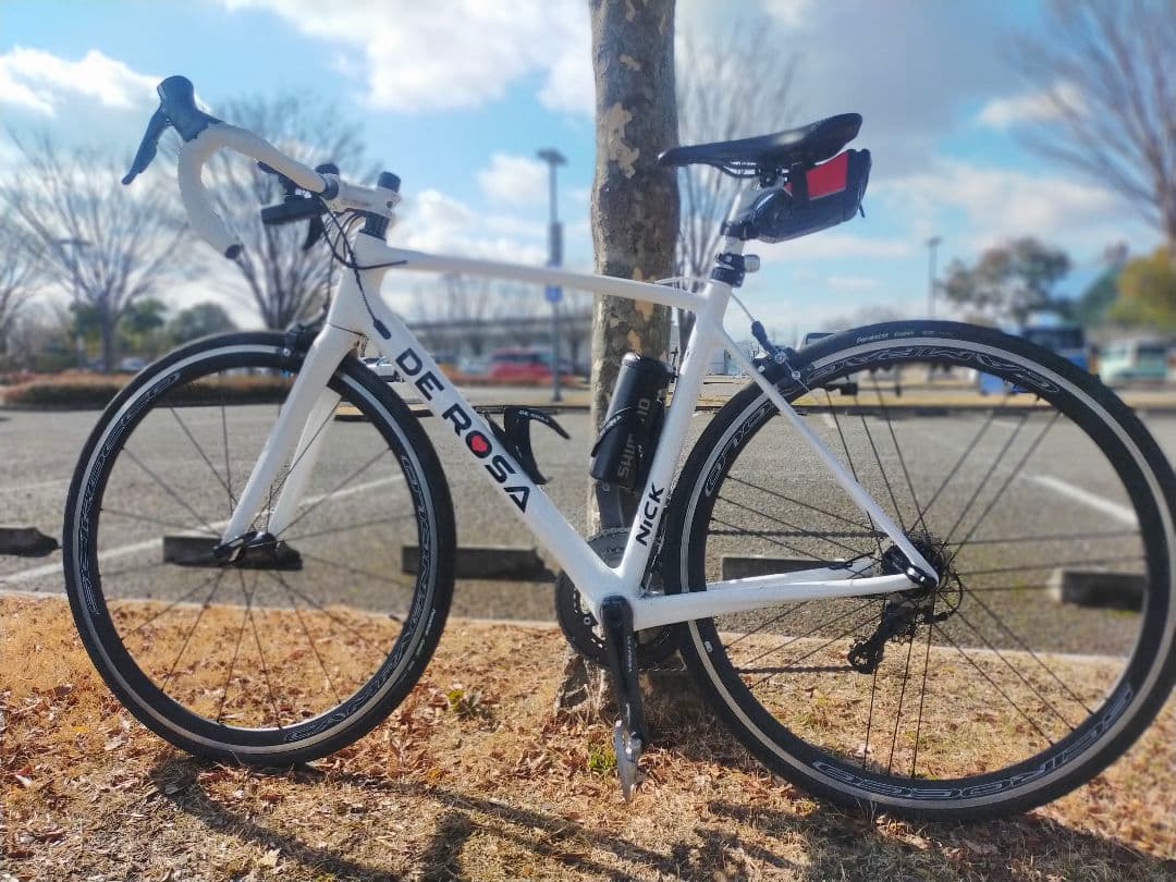 DE ROSAデローザNICK2020年式　アルテグラ　フルクラム　サイズ49