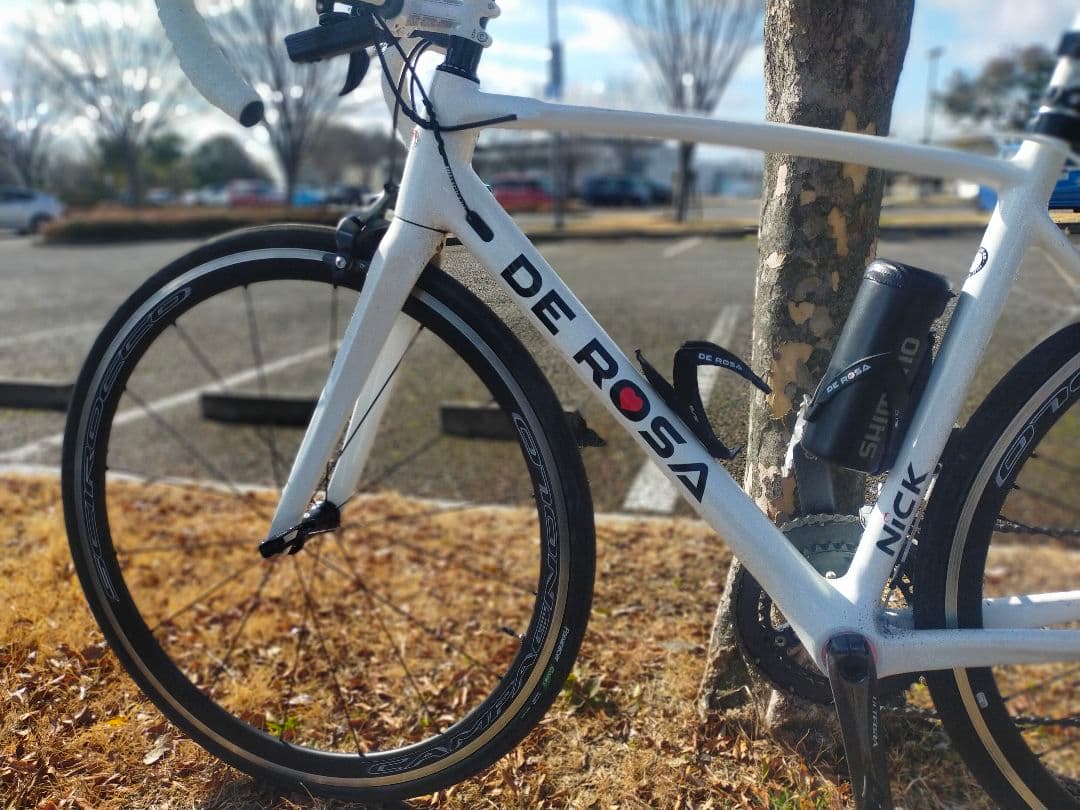 DE ROSAデローザNICK2020年式　アルテグラ　フルクラム　サイズ49