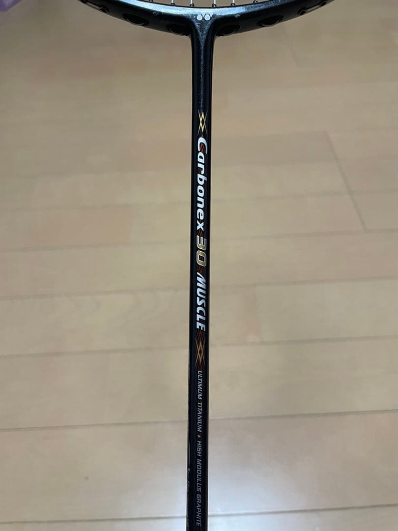 フライパワーアルガップラ修理品、ヨネックスCarbonex 30 MUSCLE