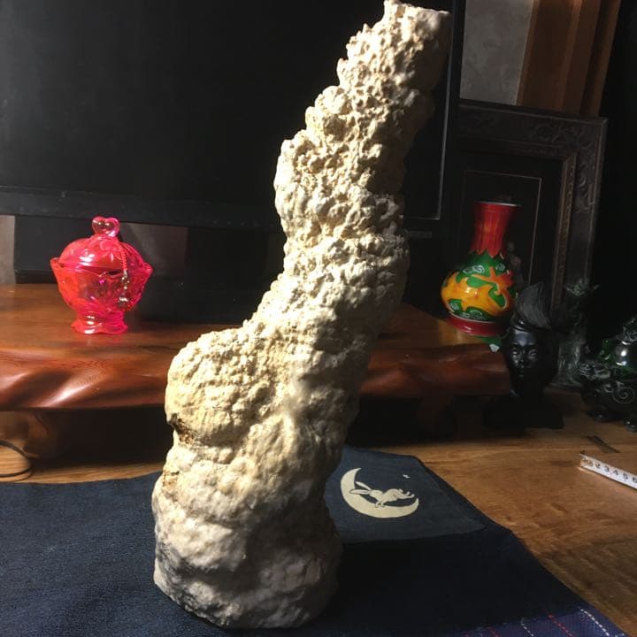 o(^▽^)o遥か昔、6000年(縄文時代)物の石筍(鍾乳石)の