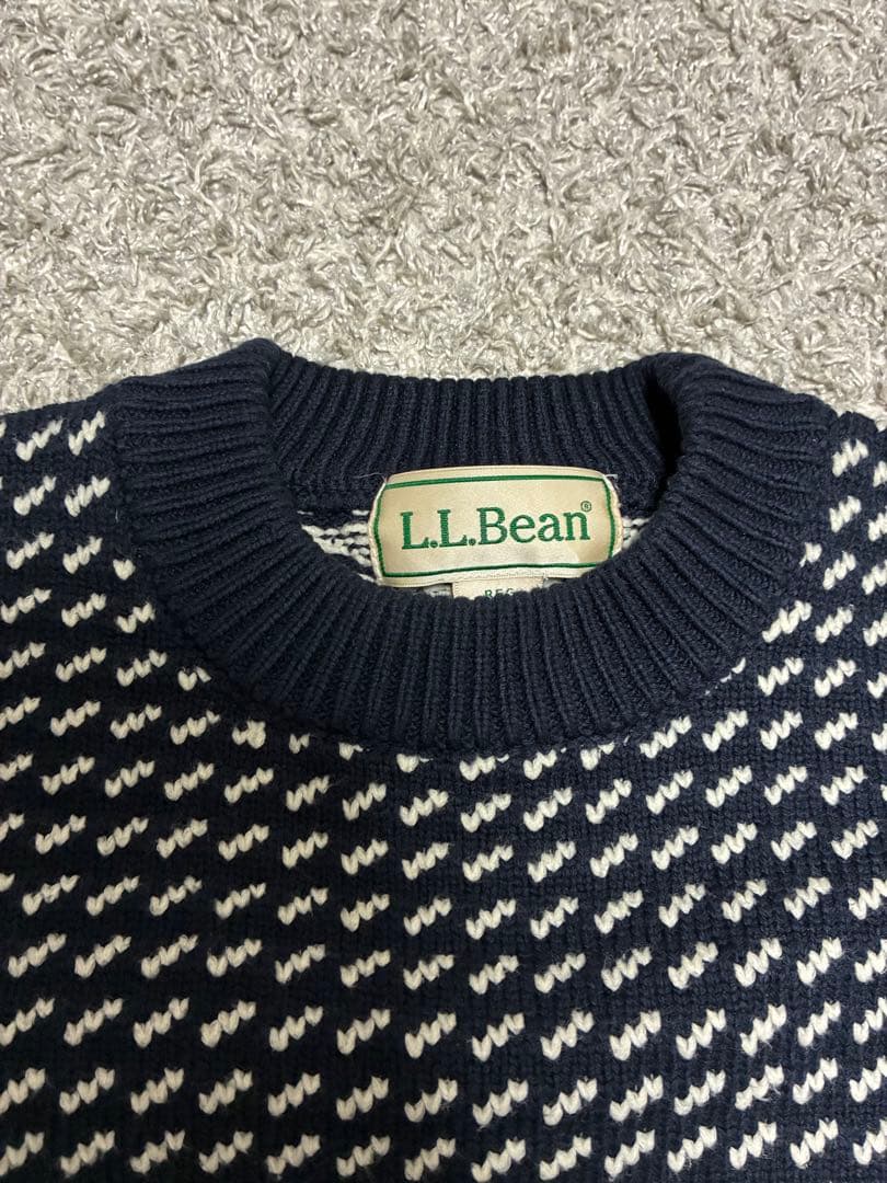 L.L.Bean バーズアイ　エルエルビーン　在原みゆき　田中シェン