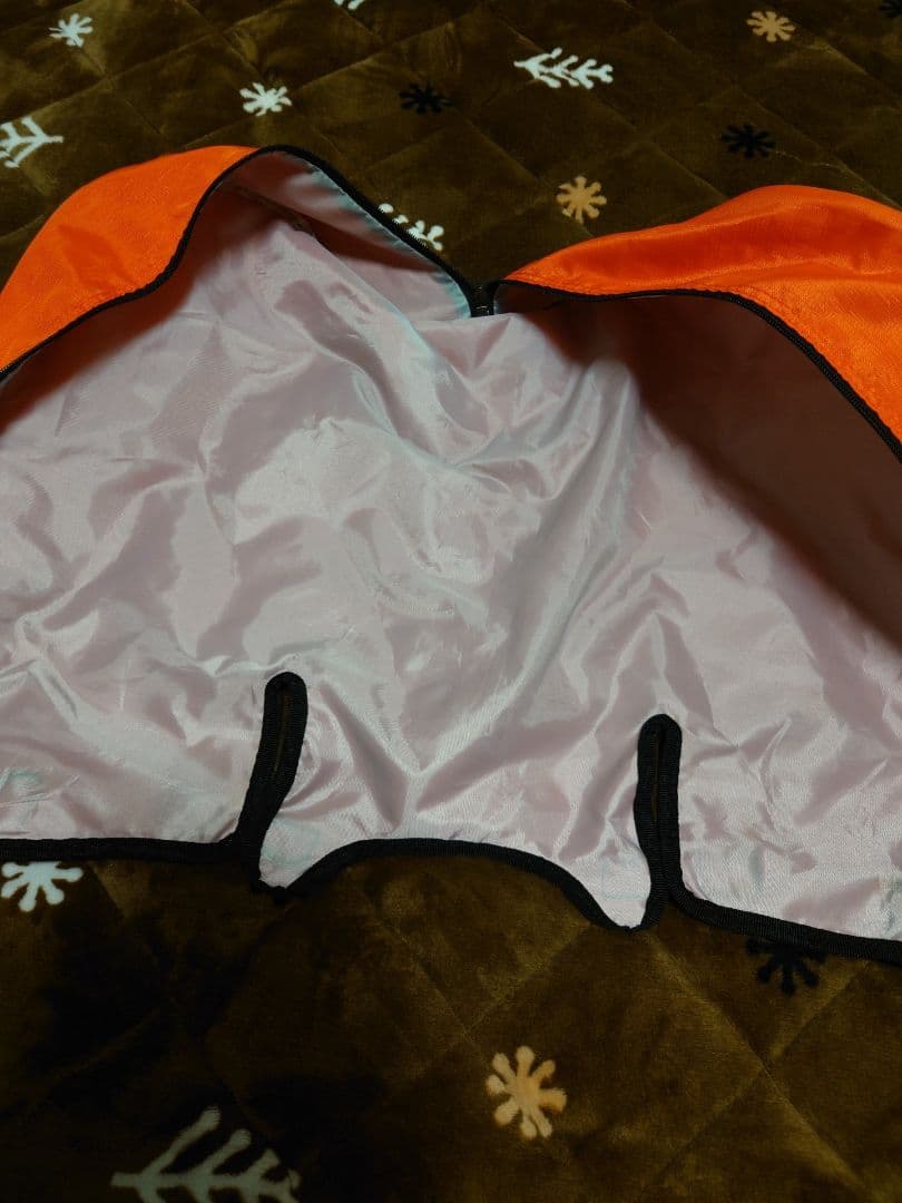 ヘ*ー様 ★タイトリスト　TITLEIST　スコッティキャメロン　スタンドキャデ