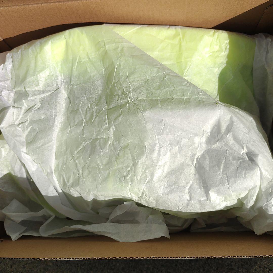 ADIZERO タクミセン10 26.0㌢