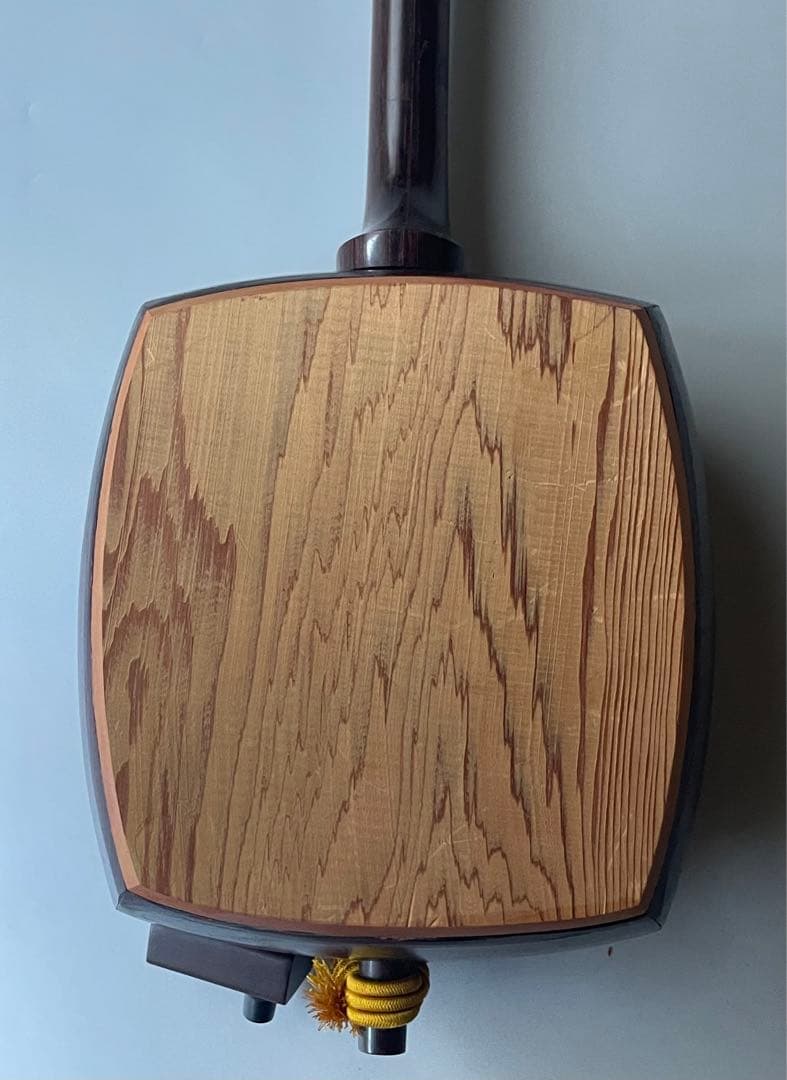 レア楽器　「サバミセン」　エレクトリック対応、撥・ハードケース付き