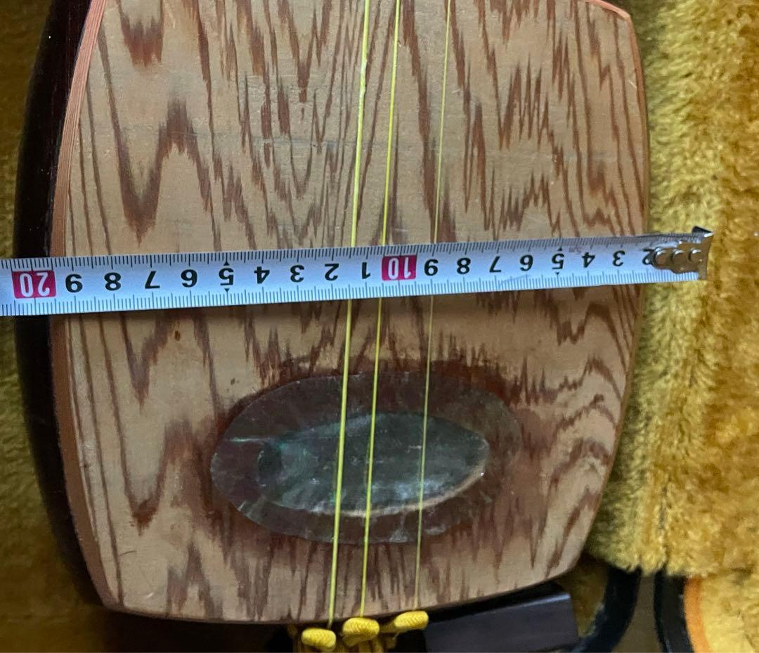 レア楽器　「サバミセン」　エレクトリック対応、撥・ハードケース付き