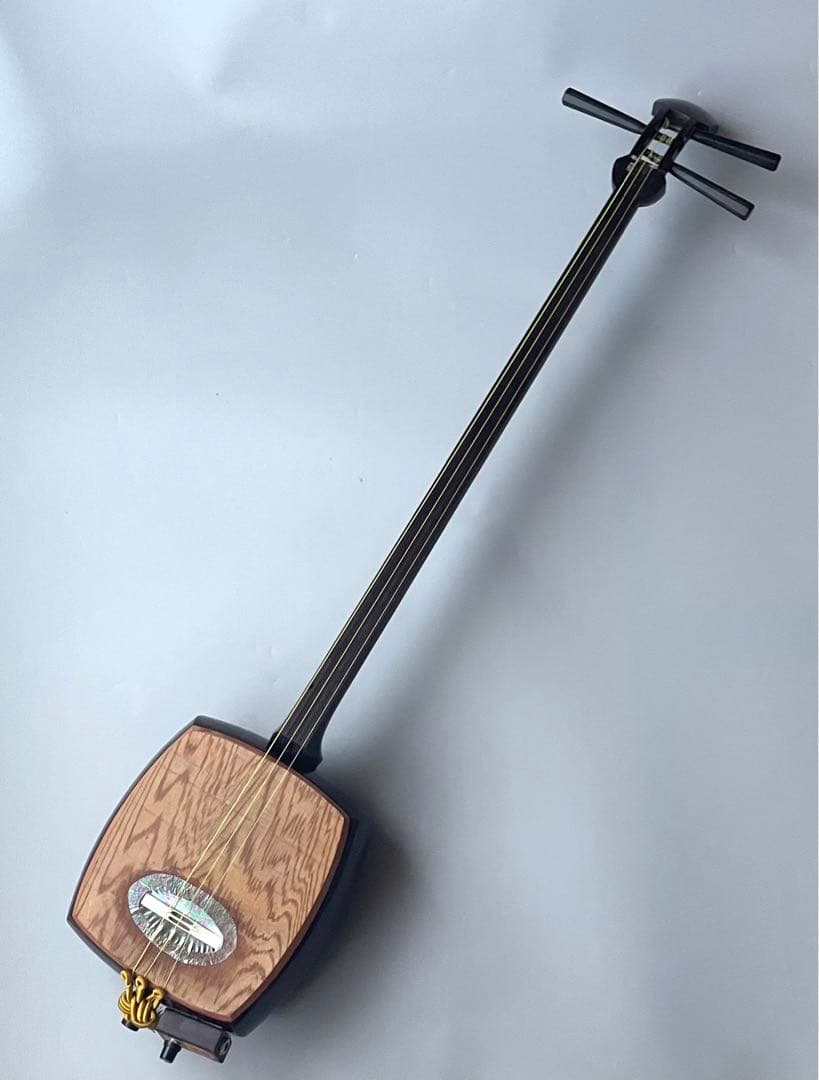 レア楽器　「サバミセン」　エレクトリック対応、撥・ハードケース付き