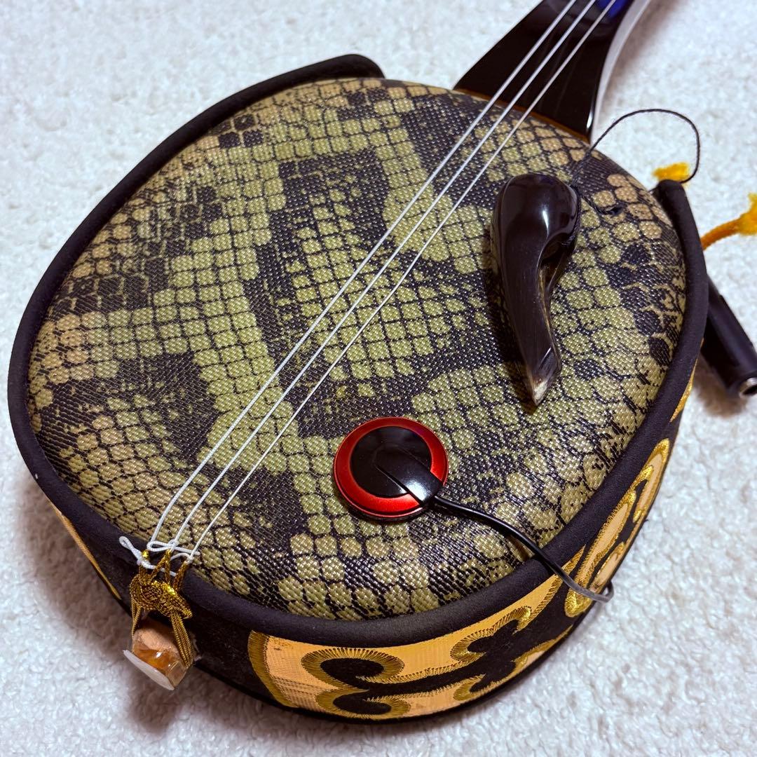 ケース/付属品多数】 美品 三味線 琉球 楽器 入門 初心者