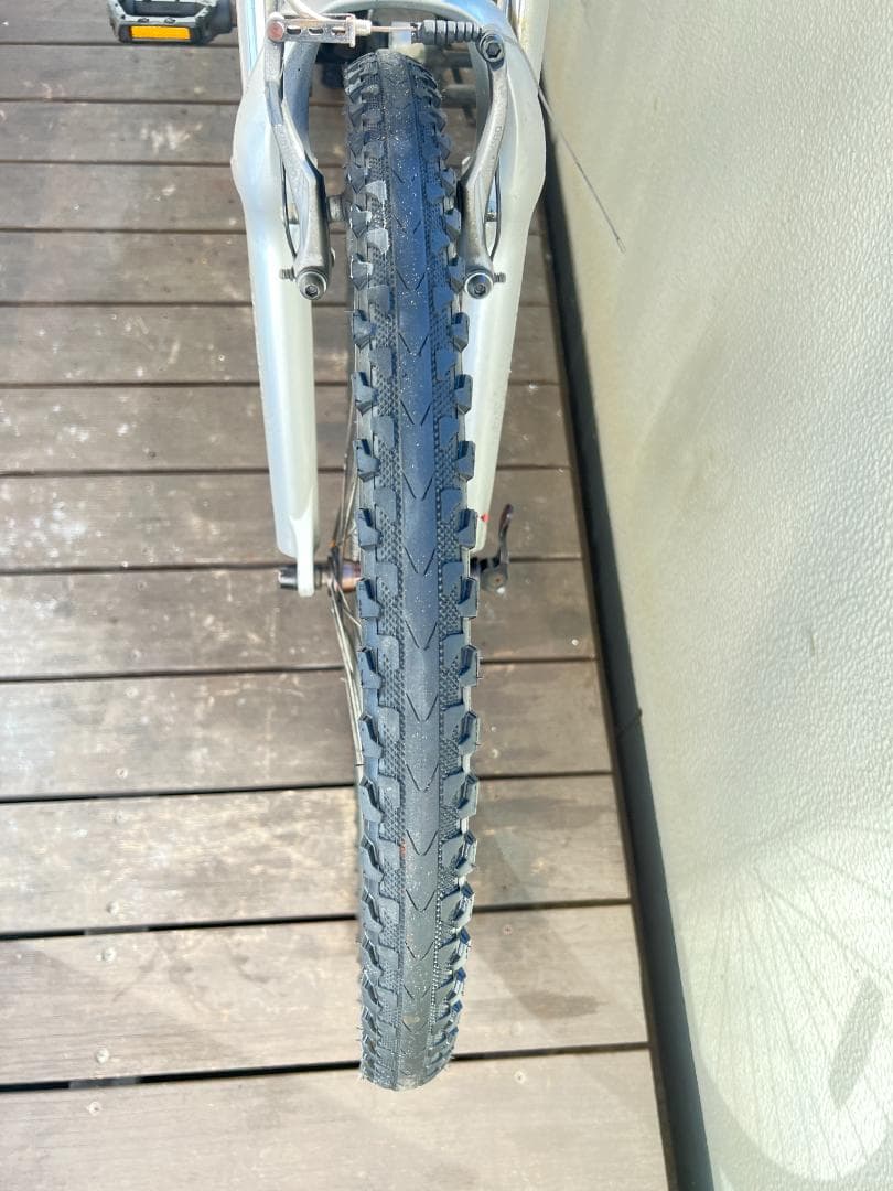 ルイガノ LGS-FIVEマウンテンバイク26インチ 外装21段変速　引取専用