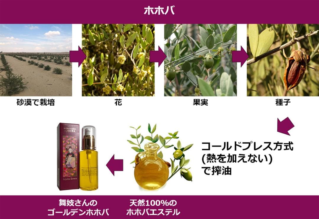 2本ｘ60mL 舞妓さんのゴールデンホホバ　舞妓さん千社札3枚付き