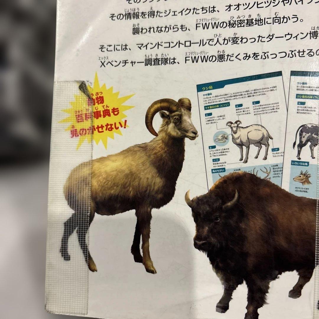 どっちが強いA1ー36/からだレスキュー他62冊 L108529843 低 価格