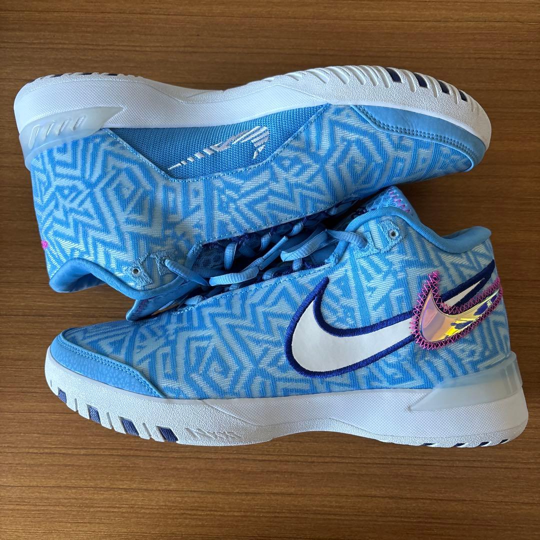 NIKE レブロン NXXT ジーニサス　EP 28cm