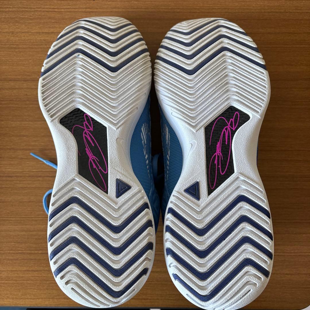 NIKE レブロン NXXT ジーニサス　EP 28cm