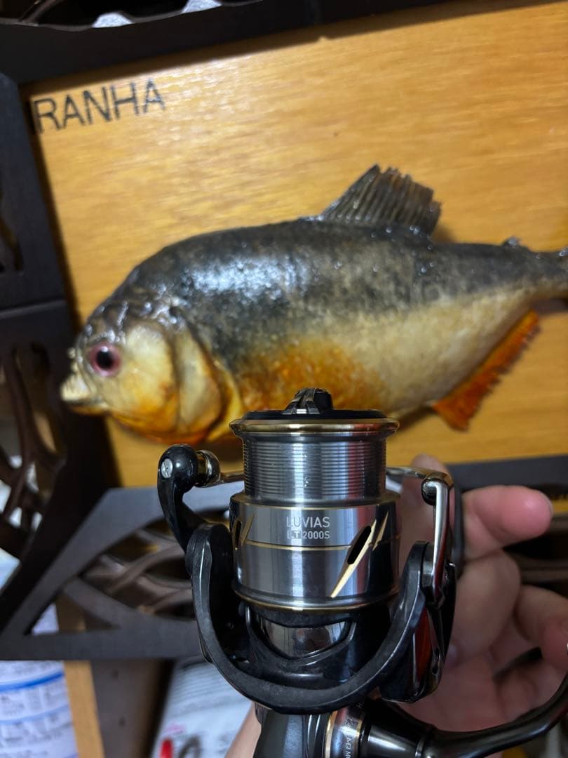 ダイワ エクセラー スピニングリール20ダイワluvias lt2000s