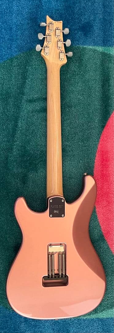 ギター PRS(Paul Reed Smith) Silver Sky