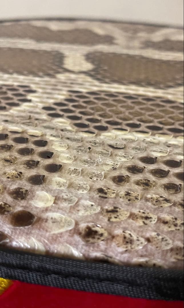 【みっこ】三味線本体 蛇皮 網目模様 セミハードケース、スタンド、付属品