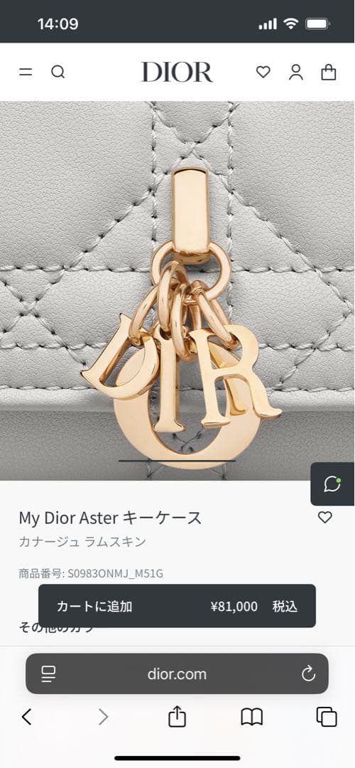 My Dior Aster キーケース ライトブルー