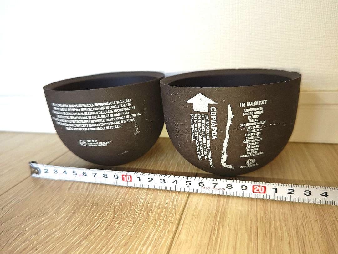 VALIEM×COOL CACTUS⁎ HABITAT限定ニ点セット バリエム