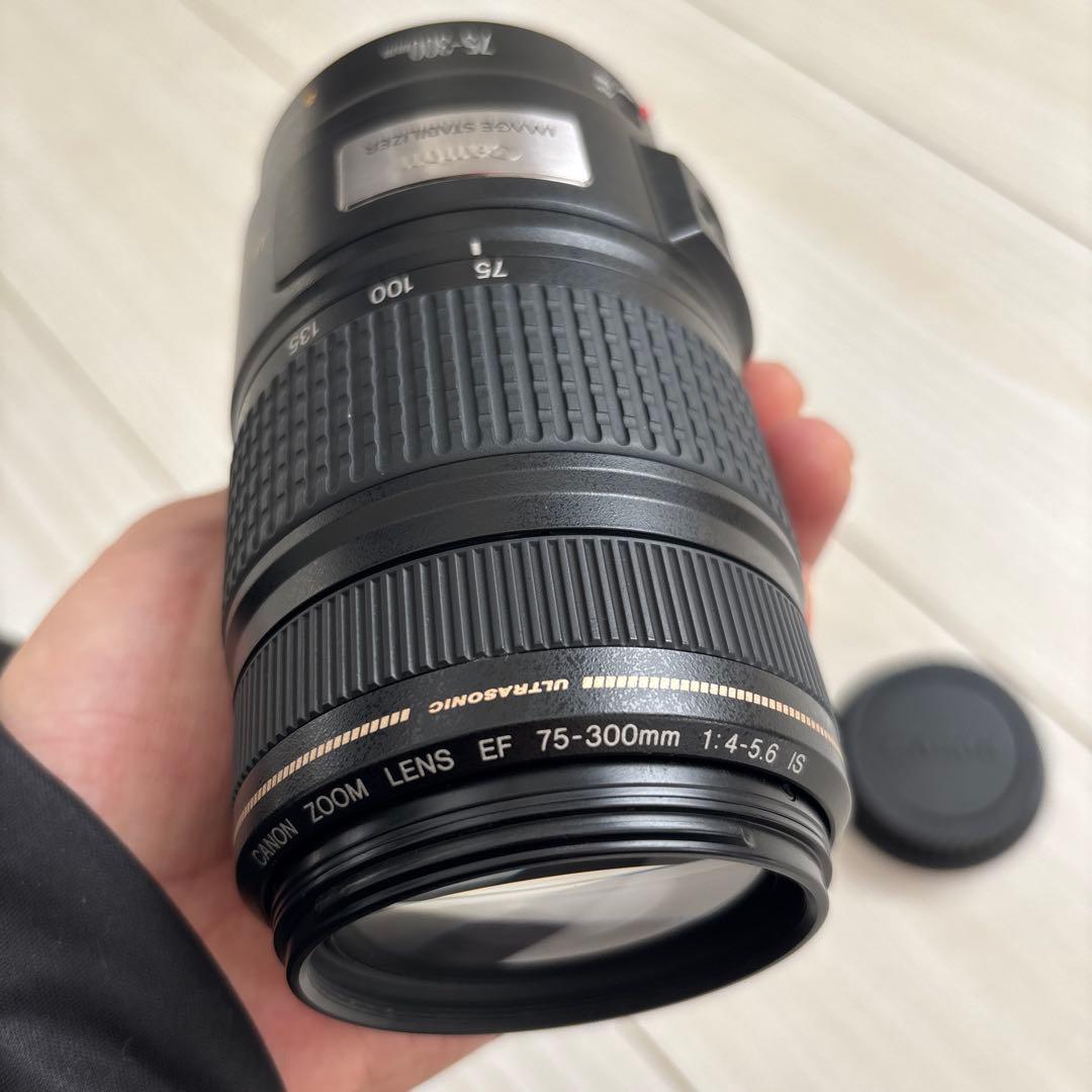 【ココ】Canon EF75-300mm f/ 4-5.6 is キヤノン