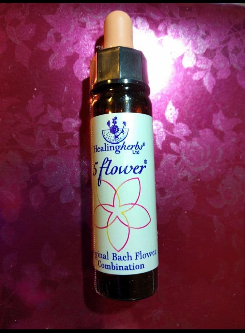 PON☆55様■ ホワイトチェストナット2 チコリ2 インパチェンス1