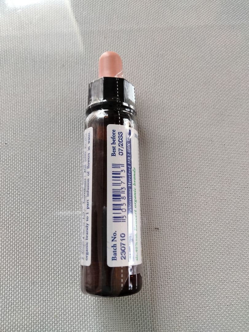 PON☆55様■ ホワイトチェストナット2 チコリ2 インパチェンス1