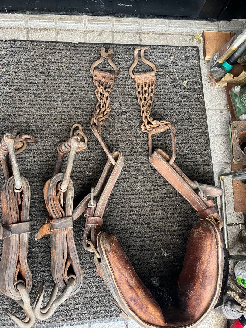 馬具、馬の鞍、馬車の鞍、馬車の革ベルト、馬の革ベルト、ばんえい競馬、番場馬、