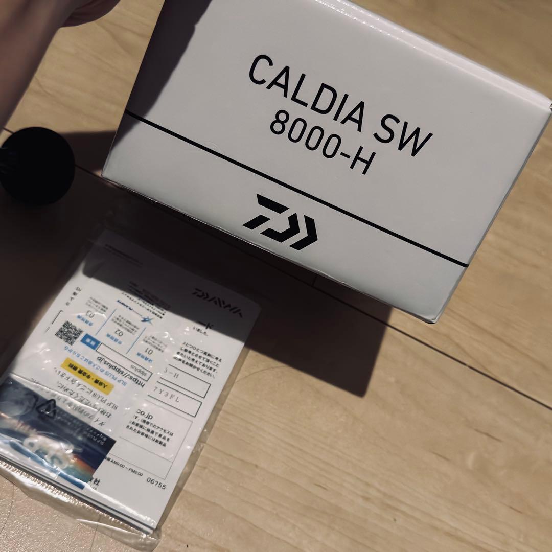 DAIWA CALDIA SW 8000-H PE4号 300m巻