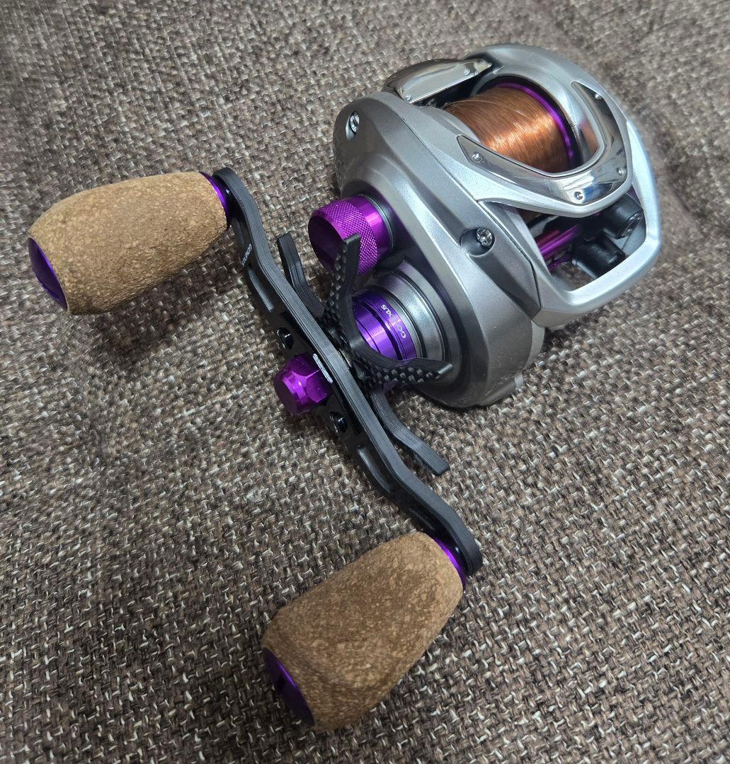 ダイワ【バスX】ベイトフィネスカスタム品