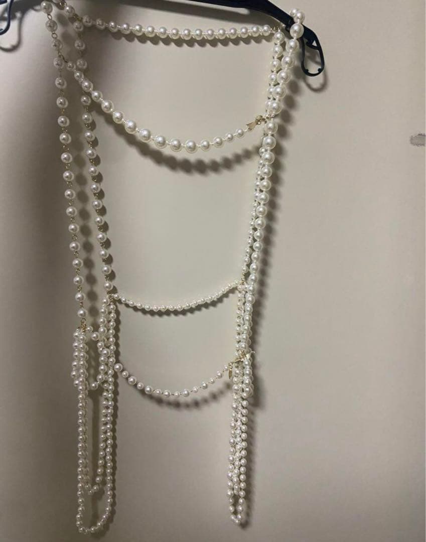 litmus パールハーネス 値下げ相談可 - メルカリ