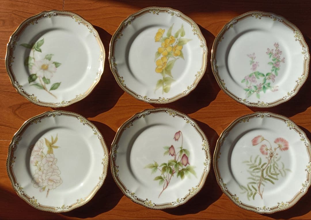 Noritake Gala Contessa 花柄皿 6枚セット