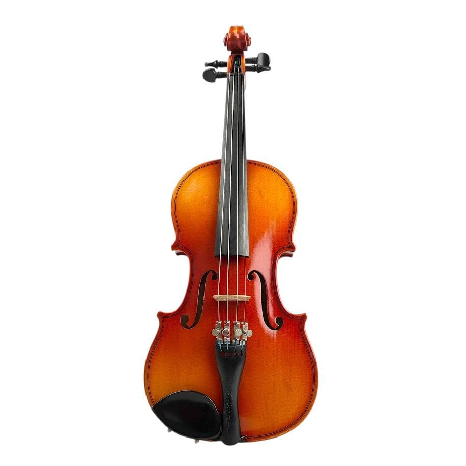 黄金期●鈴木バイオリン● 上位 No.300 1/8 1986年 極美品 良杢