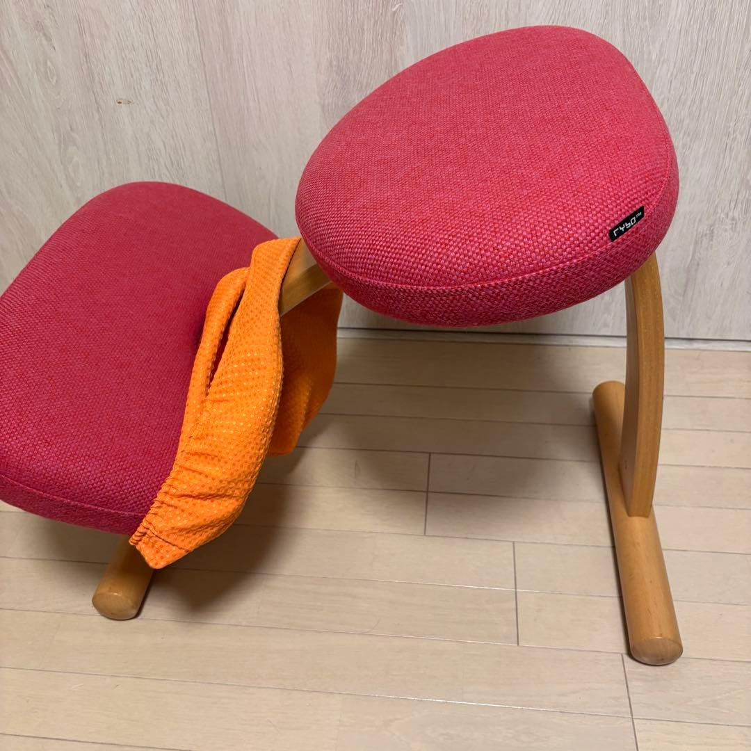 バランスイージー ノルウェー カバー付き 美品