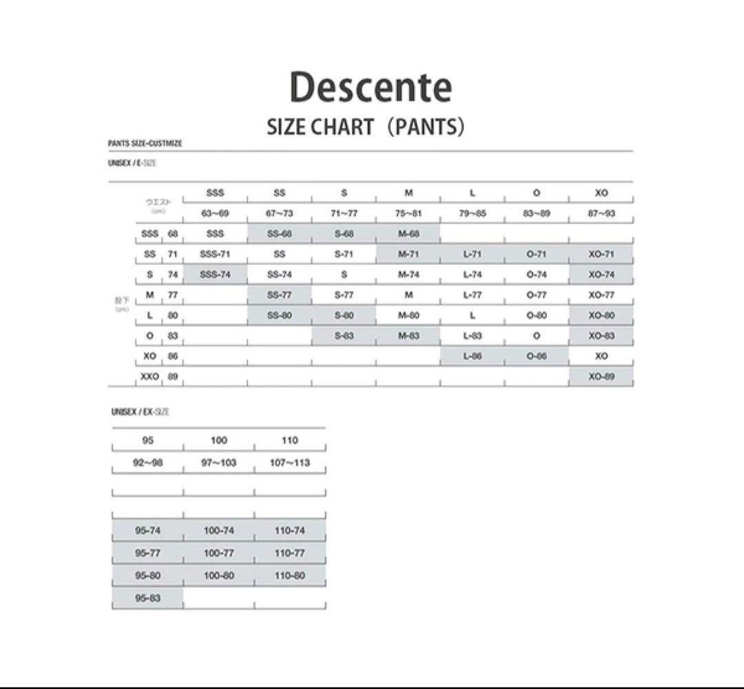 DESCENTE デサント スキーウェア パンツ Dermizax サイズO