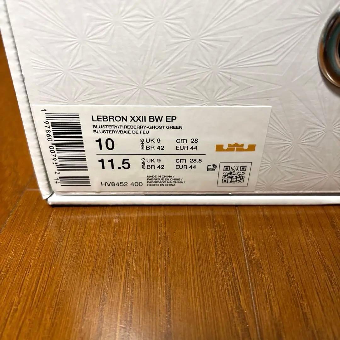 NIKE ナイキ レブロン22 BW EP 28cm