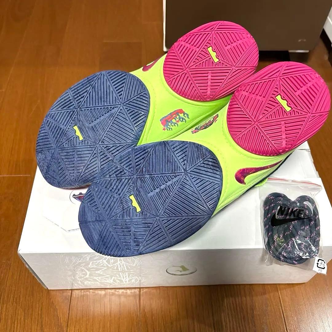 NIKE ナイキ レブロン22 BW EP 28cm