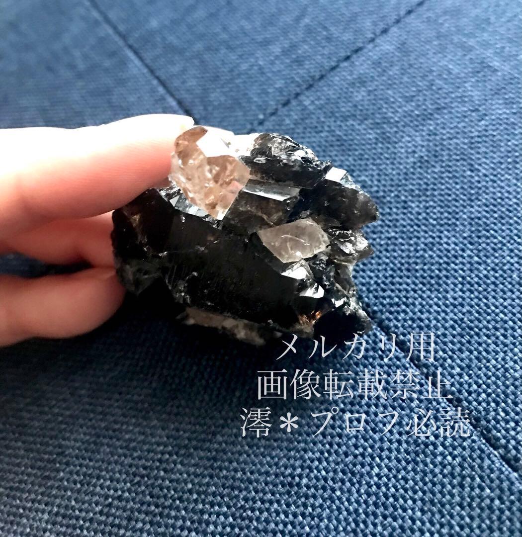 水彩画 ジクレー版画「雪の金明竹」（高良山／久留米市）