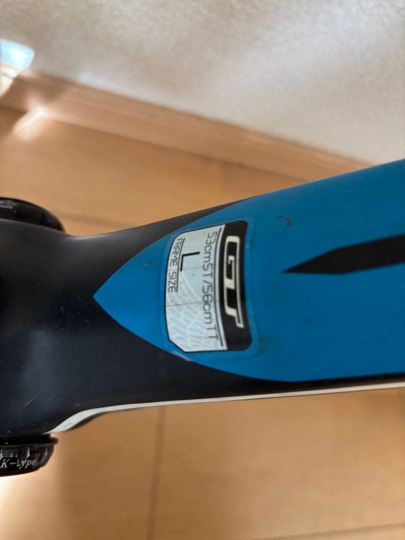 10月中 GT GTR Elite フルカーボン フレームセット