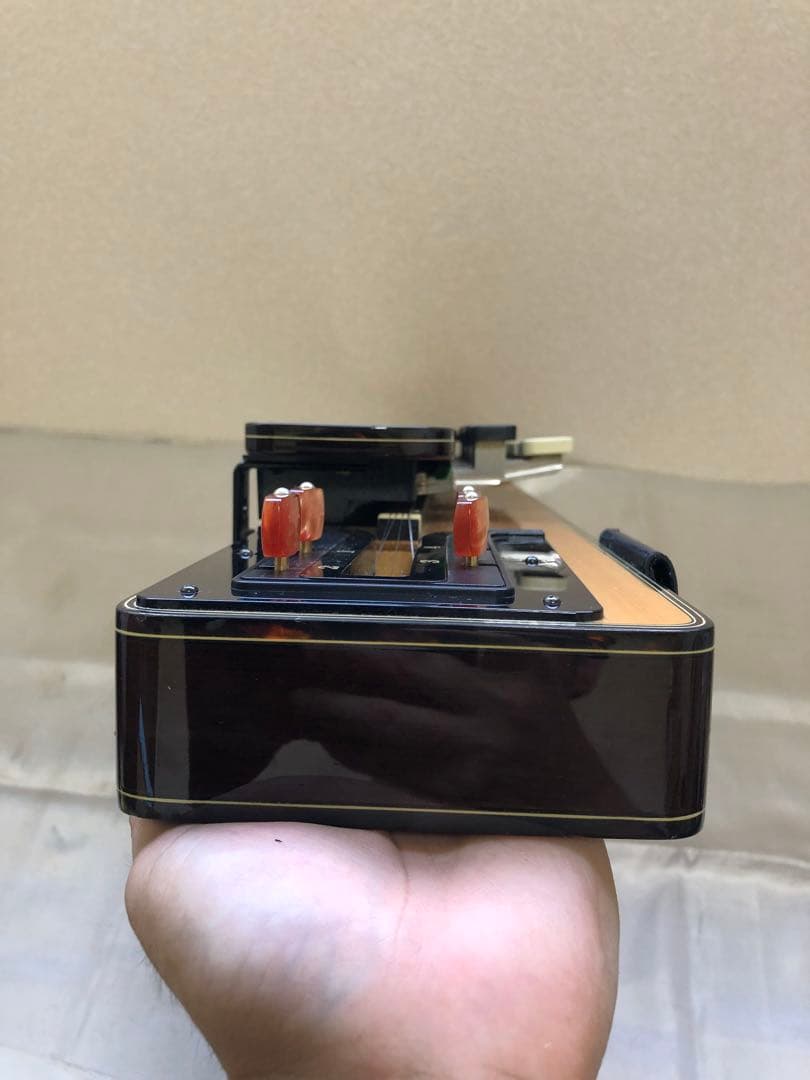 ライリッシュ 電気大正琴 ケース付き