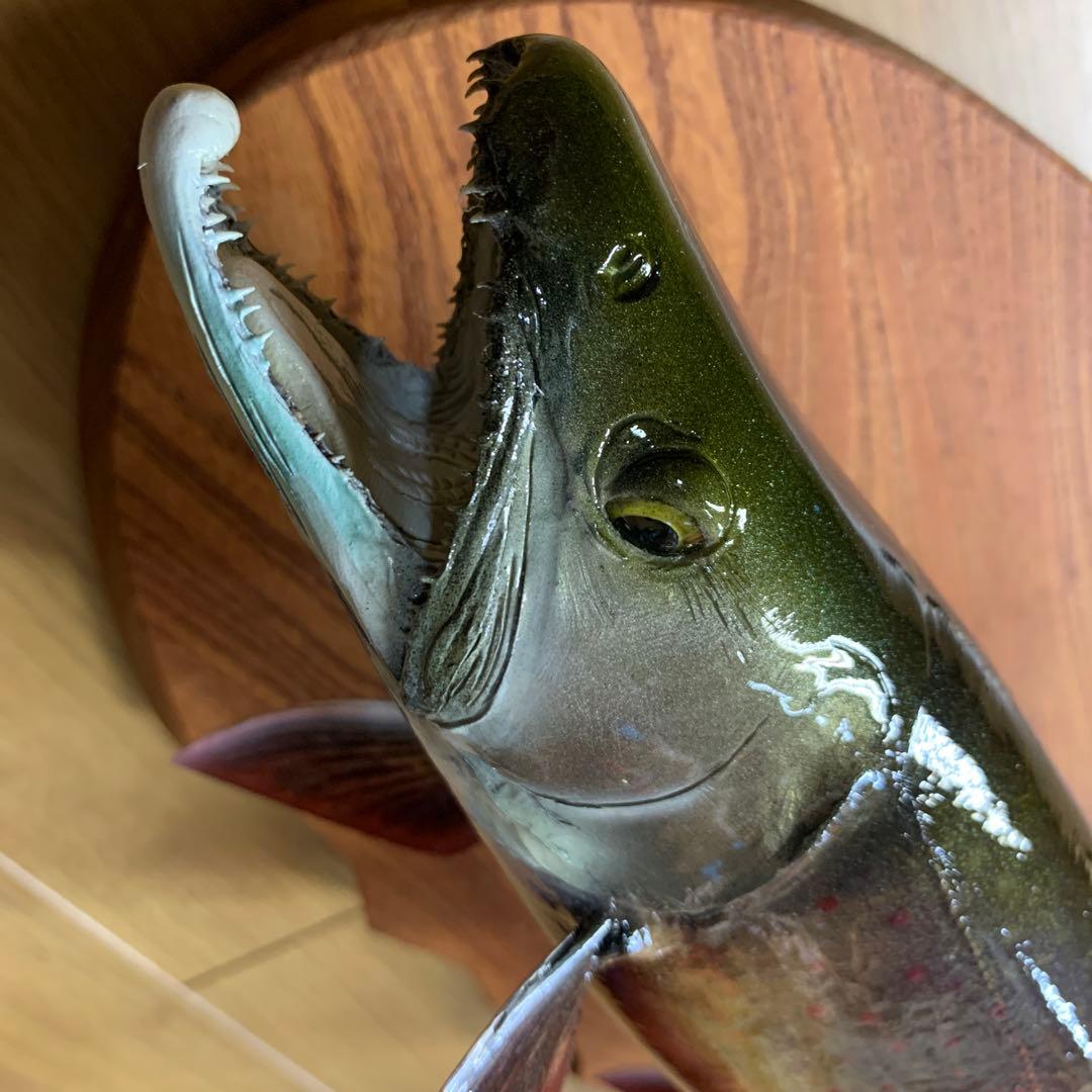 過*ィ様 剥製　魚類剥製工房エフクラフト　イケメンブルックトラウト三口雄40 イ