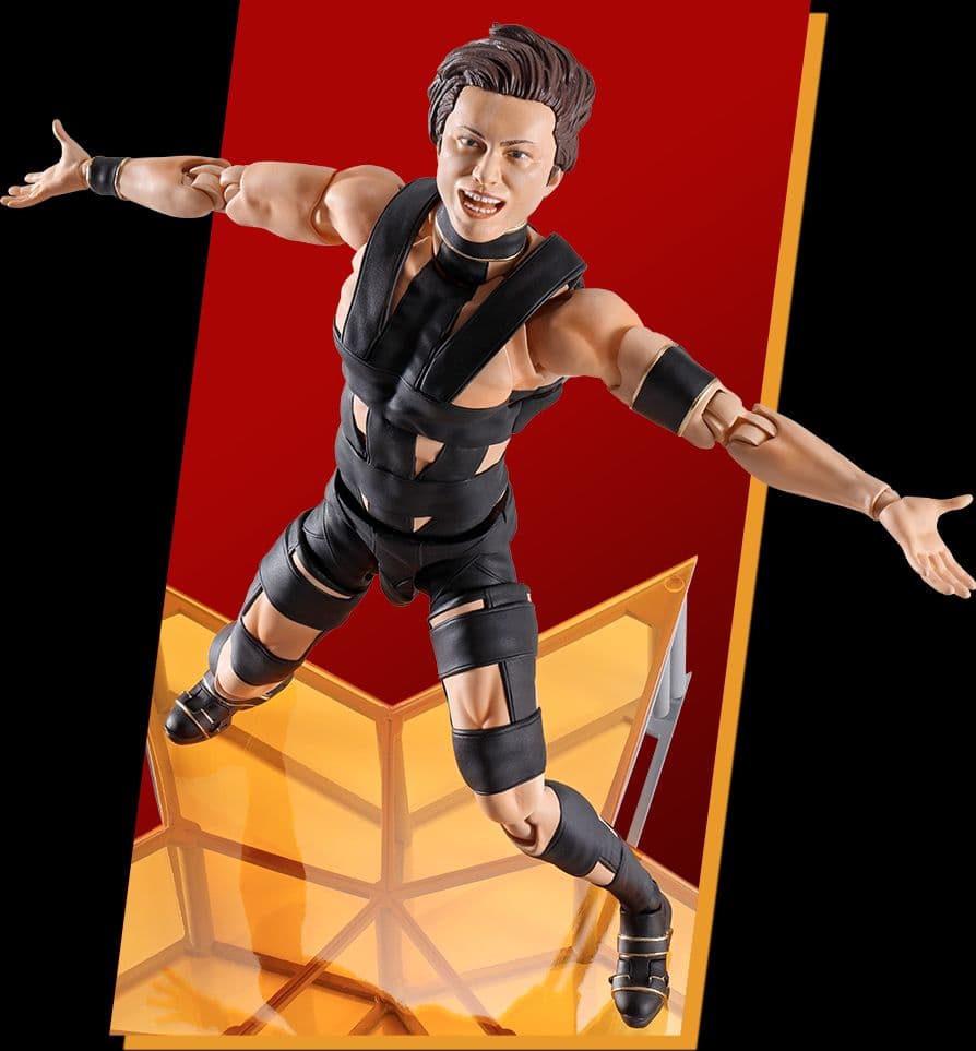 【新品未開封】S.H.Figuarts T.M.Revolution