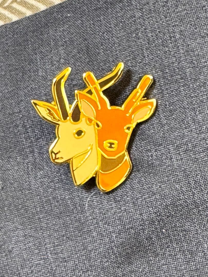 ☆大阪関西万博 EXPO2025 オマーン パビリオン ピンバッジB☆台紙付き