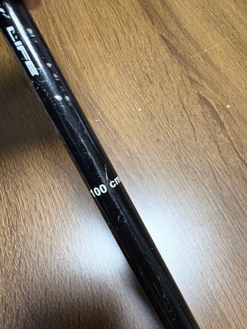 Fischer ツインチップ135 ジュニアセット