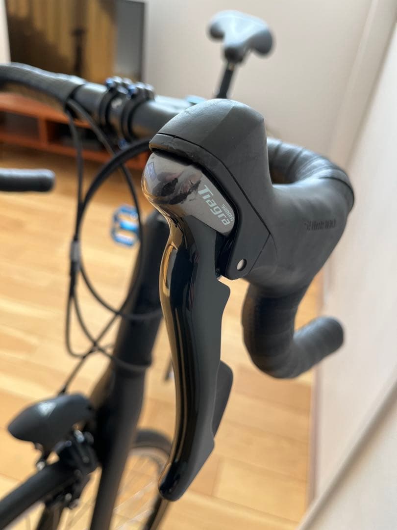 Tern Surge PRO Delta カスタム カーボンフォーク ミニベロ