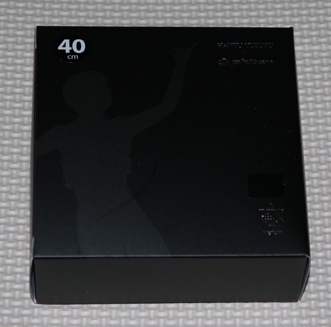 ファイテン　RAKUWAネック　ウイングス　40ｃｍ