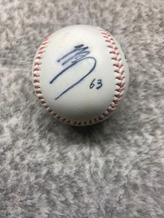 千葉ロッテマリーンズ 種市篤暉 直筆サインボール