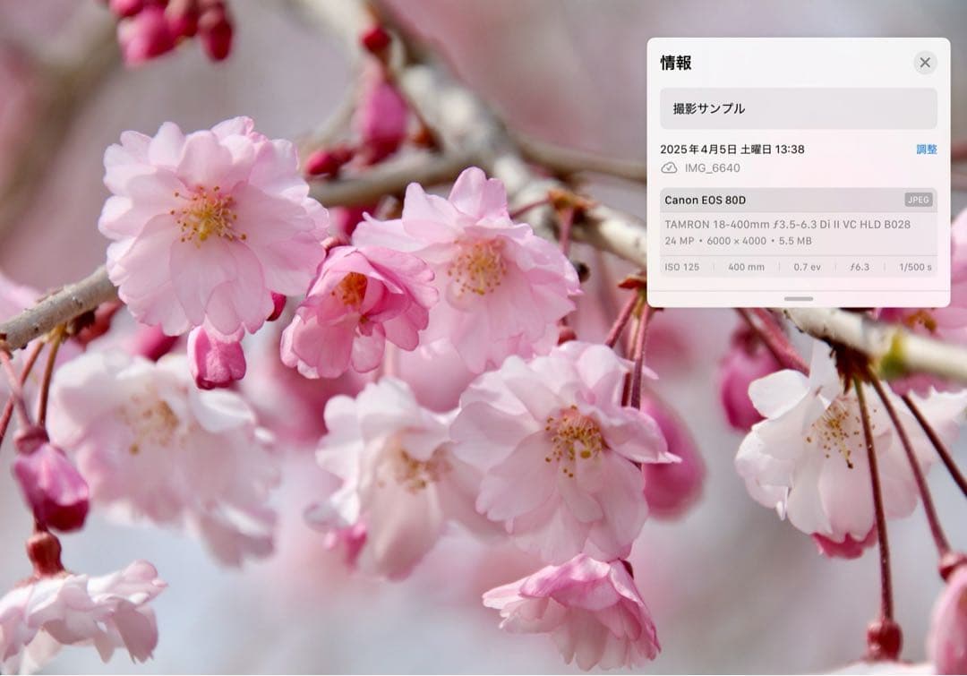 レンズ(ズーム) 18-400mm F/3.5-6.3 Di II VC HLD