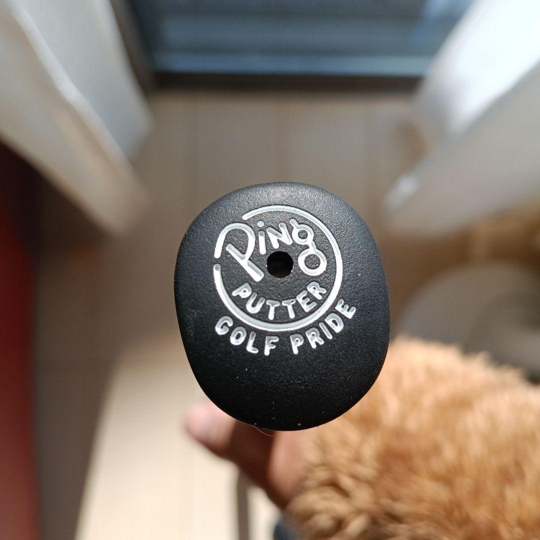 スコッティキャメロンニューポート34インチ本物比較的程度良い感じ！